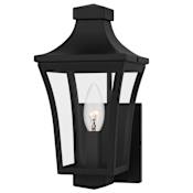 Quoizel Quentin 12" Tall Outdoor Wall Sconce with Clear Glass Shade Earth Black