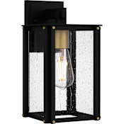 Quoizel Robbins 12" Tall Outdoor Wall Sconce with Seedy Glass Shade Matte Black