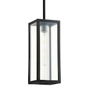 Quorum International Parks 6" Wide Mini Pendant Noir