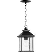 Quorum International Pearson Single Light 7" Wide Outdoor Mini Pendant Noir