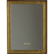 Quorum International Dorato 18"W x 24"H Rectangular Flat Steel Framed Wall Mounted Bathroom Mirror with LED Lighting Gold Leaf
