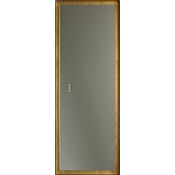 Quorum International Dorato 24"W x 65"H Rectangular Flat Steel Framed Bathroom Mirror with LED Lighting Gold Leaf