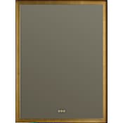 Quorum International Dorato 36"W x 48"H Rectangular Flat Steel Framed Wall Mounted Bathroom Mirror with LED Lighting Gold Leaf