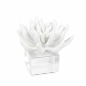Regina Andrew Succulent 5.5" Wide Resin Sculpture White