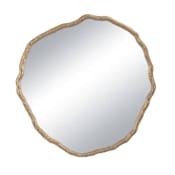Regina Andrew Vine 42"W x 43"H Specialty Flat Resin Framed Accent Mirror Antique Gold