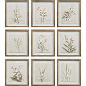 Ren Wil Crema 15" x 14" Framed Botanical Drawing Print - Set of 9 Beige