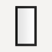 Robern Main Line 15-1/8" W x 29-7/8" H Traditional Rectangular Framed Bathroom Wall Mirror Brushed Black