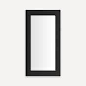 Robern Main Line 15-1/8" W x 29-7/8" H Traditional Rectangular Framed Bathroom Wall Mirror Brushed Black