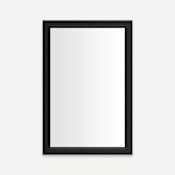Robern Main Line 19-1/8" W x 29-7/8" H Traditional Rectangular Framed Bathroom Wall Mirror Brushed Black