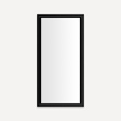 Robern Main Line 19-1/8" W x 39-1/2" H Traditional Rectangular Framed Bathroom Wall Mirror Brushed Black