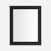 Robern Main Line 23-1/8" W x 29-7/8" H Traditional Rectangular Framed Bathroom Wall Mirror Brushed Black