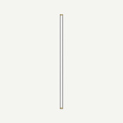 Robern Tenor 39" Tall Modular Wall Sconce Brass