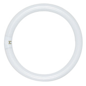 Satco Lighting Single 20 Watt T9 Fluorescent Pin (G10q) Fluorescent Bulb - 1,800 Lumens and 3000K Frosted