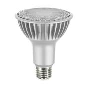 Satco Lighting Single 21.5 Watt PAR30LN Medium (E26) LED Bulb - 1,800 Lumens, 2700K, and 90CRI Gray
