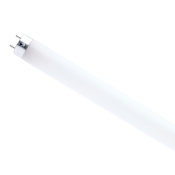 Satco Lighting 14 Watt Dimmable T8 Bi Pin (G13) LED Bulbs- 2200 Lumens, 5000K, and 80CRI Gloss White