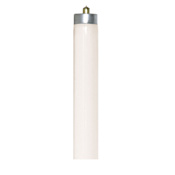 Satco Lighting Single 38 Watt 72" Wide T8 Bi Pin Fluorescent Bulb - 750 Lumens and 3000K Frosted
