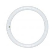 Satco Lighting Single 32 Watt T9 Shaped Fluorescent Pin (G10q) Base Fluorescent Bulb White