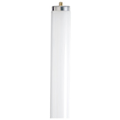Satco Lighting Single 59 Watt 96" Wide T8 Bi Pin Fluorescent Bulb - 3,650 Lumens and 3000K Frosted