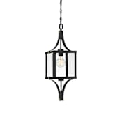 Savoy House Raeburn 9" Wide Outdoor Mini Pendant Matte Black / Brushed Brass