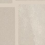 Shaw Sample Only of 343TS Beige