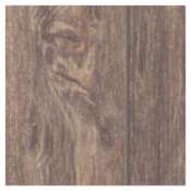 Shaw Junction City - 8" x 36" Floor and Wall Tile - Sold by Carton (15.5 SF/Carton) Forged