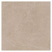 Shaw Fervor - 22" x 22" Floor and Wall Tile - Sold by Carton (16.04 SF/Carton) Horizon