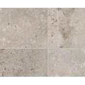 Shaw Basanite Legacy - 16" x 16" Square Floor and Wall Tile - Matte Visual - Sold by Carton (13.78 SF/Carton) Gray