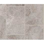 Shaw Sample Only of 509TS Gray