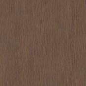 Shaw Philosopher's Tree 9" x 63" Embossed Vinyl Flooring with 0.51mm Wear Layer - Sold by Carton (23.62 SF/Carton) Agate