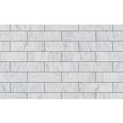 Shaw Zarina 3" x 10" Rectangle Wall Tile - Honed Visual - Sold by Carton (9.38 SF/Carton) Carrara Marble