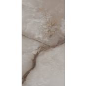 Shaw Astoria - 12" x 24" Floor and Wall Tile - Semi-Gloss Visual - Sold by Carton (13.37 SF/Carton) Brindle