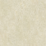 Shaw Casino - 12" x 24" Rectangle Floor Tile - Matte Marble Visual - Sold by Carton (15.5 SF/Carton) Allure