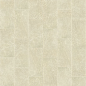 Shaw Casino - 16" x 32" Rectangle Floor Tile - Polished Marble Visual - Sold by Carton (13.78 SF/Carton) Allure