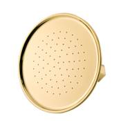 Signature Hardware Windom 1.8 GPM Single Function Shower Head Polished Brass