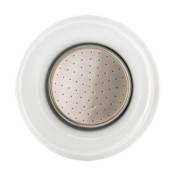 Signature Hardware Sunflower 1.8 GPM Single Function Shower Head Brushed Nickel
