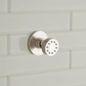 Signature Hardware Classic Swivel Body Spray Brushed Nickel