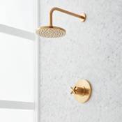 Signature Hardware Vassor Shower Only Package with Rainfall Shower Head - Accufit Rough-In Valve Included Brushed Gold