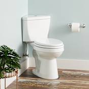 Signature Hardware Eastpointe 1.28 GPF Two Piece Elongated Toilet - Seat Included White