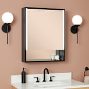 Signature Hardware Larchview 24" x 30" Lighted Framed Single Door Medicine Cabinet Matte Black Powder Coat
