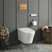 Signature Hardware Glinda 1.28 GPF Dual Flush Wall Mounted One Piece Elongated Smart Toilet - Bidet Seat Included White / Brushed Gold