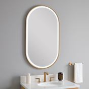 Signature Hardware Faysel 24"W x 43"H Oval Framed Bathroom Mirror with LED Lighting Brushed Gold