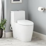 Signature Hardware Sitka 1.28 GPF One Piece Elongated Toilet - Bidet Seat Included, ADA Compliant White