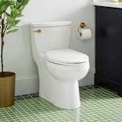 Signature Hardware Brinstead 1.28 GPF One Piece Elongated Toilet - Standard Seat Included White / Brushed Gold Lever