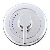 Speakman Speakman Single Handle Vandal-Resistant Pressure Balanced Trim and Valve with Metal Lever Handle from the Sentinel Mark II Chrome