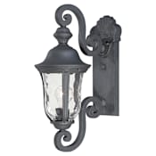 The Great Outdoors Ardmore 1 Light 20" Tall Outdoor Wall Sconce with Clear Hammered Glass Black