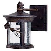 The Great Outdoors Abbey Lane 1 Light 10" Tall Outdoor Wall Sconce with Seedy Glass Iron Oxide