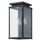 Thesis Overton 2 Light 15" Tall Outdoor Wall Sconce with Clear Antique Glass Matte Black