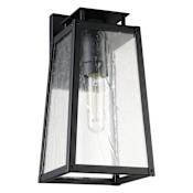 Thesis Salford 1 Light 14" Tall Outdoor Wall Sconce with Clear Antique Glass Matte Black