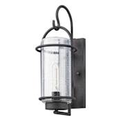 Thesis Taplow 1 Light 17" Tall Outdoor Wall Sconce with Clear Seeded Glass Shade Weathered Zinc