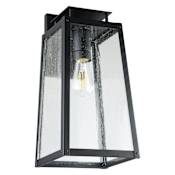 Thesis Salford 1 Light 17" Tall Outdoor Wall Sconce with Clear Antique Glass Matte Black
